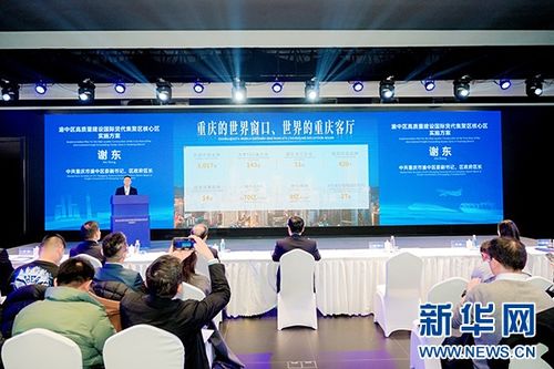 重慶渝中建設國際貨代集聚區核心區 力爭到2027年進出口額突破100億元