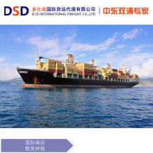  深圳天鷹國際貨運代理公司 主營 物流業務 國際航空 航