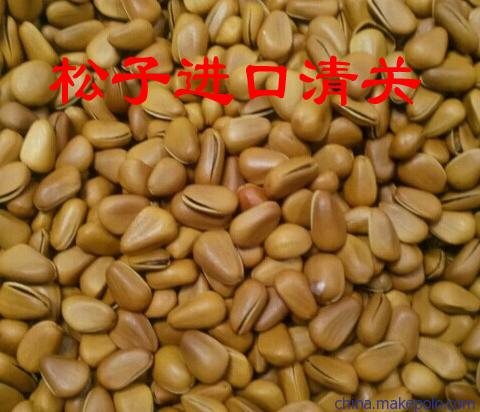 開(kāi)心果夏威夷果整柜美國(guó)堅(jiān)果進(jìn)口清關(guān)代理