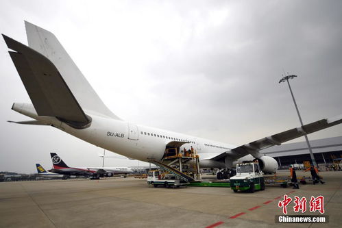 國際貨運航班紛紛來穗 提貨 廣州白云機場全力保障